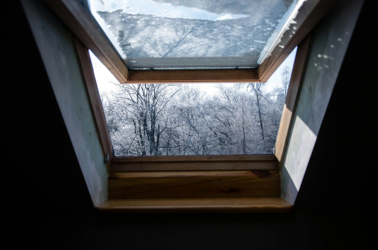 Skylight Repair & Installation
